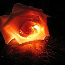 Схема вышивки «роза огонь»