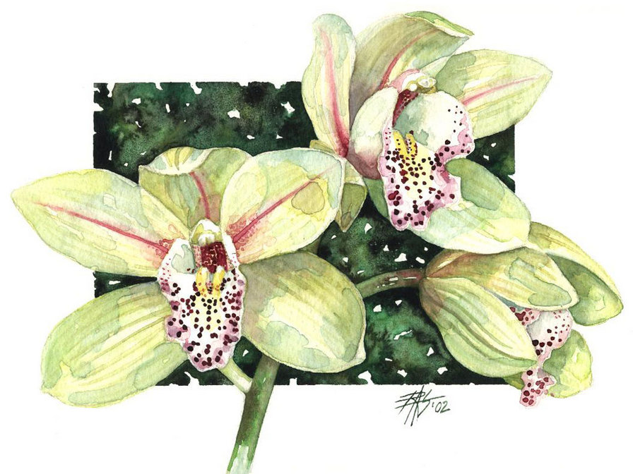 №65234 - оригинал