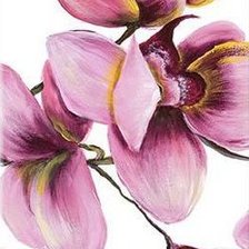 Схема вышивки «ансамбль 2»