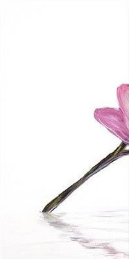 ансамбль 1 - оригинал