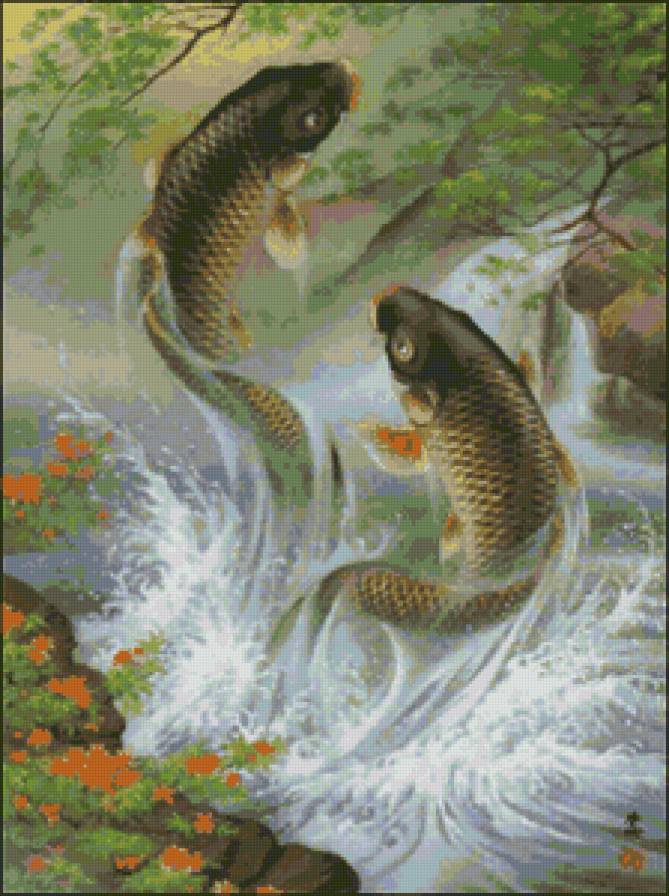 Карпы-прыгуны - вода, карпы, пейзаж, природа, рыба - предпросмотр