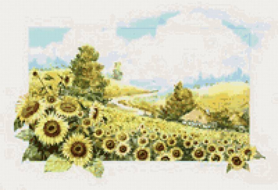 Украина.подсолнухи - моя страна - предпросмотр