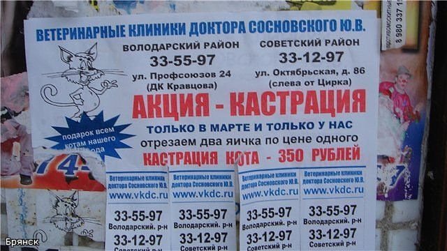 Прикол - юмор - оригинал