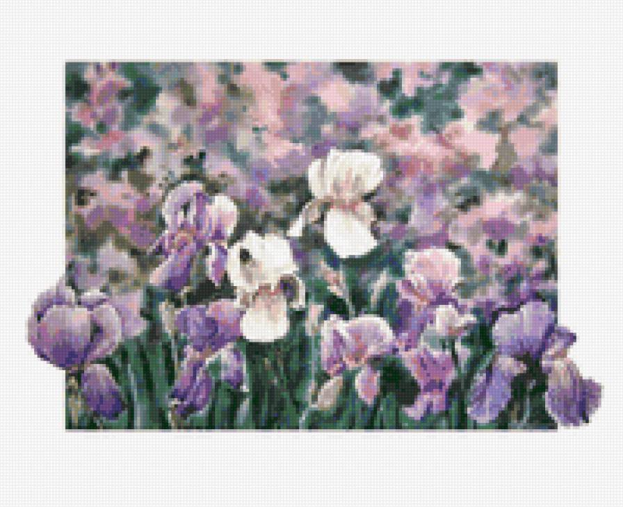 Украина.поле ирисов - моя страна - предпросмотр