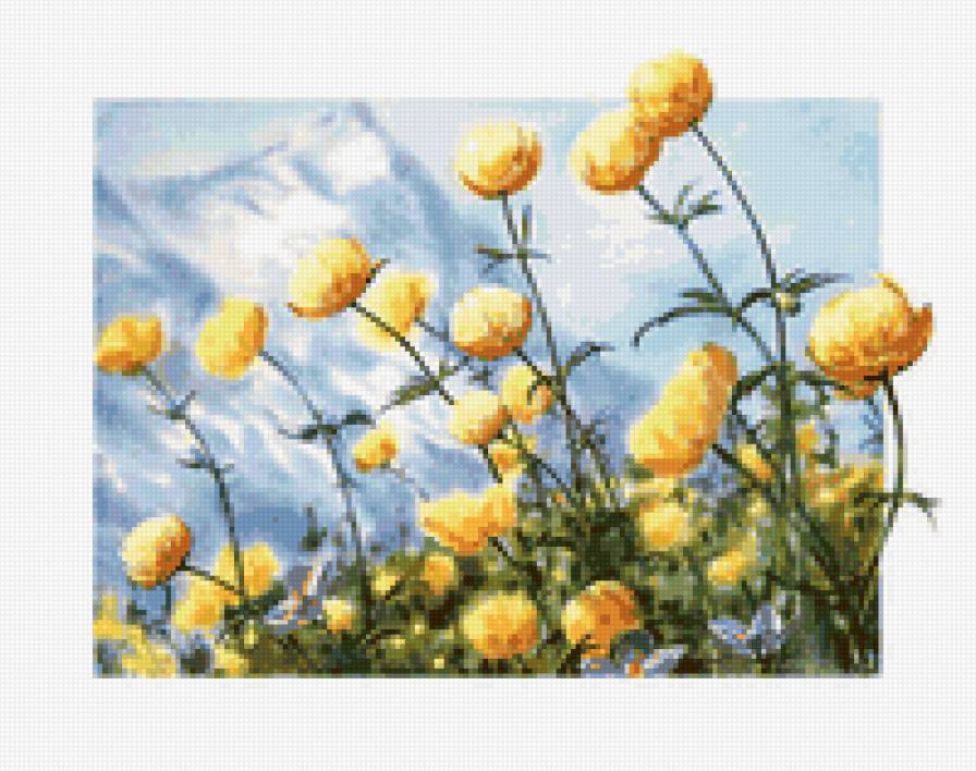 Украина.поле летних пионов - моя страна - предпросмотр