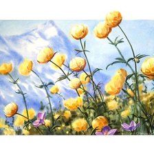 Схема вышивки «Украина.поле летних пионов»