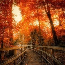 Схема вышивки «Осенняя дорога»