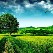 Схема вышивки «№65794»