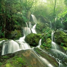 Схема вышивки «№65820»