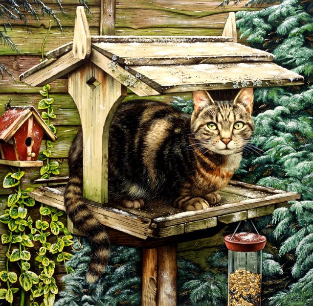 Кошки - кошки - оригинал