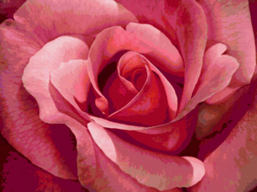 №65856 - предпросмотр