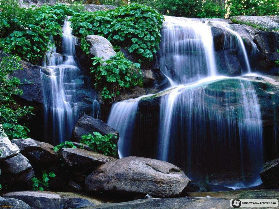 №65880 - оригинал