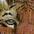 Предпросмотр схемы вышивки «тигр» (№65983)
