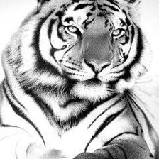 Схема вышивки «№66024»