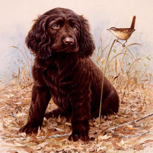 Схема вышивки «собака»