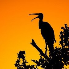 Схема вышивки «Очень красивый пейзаж))»