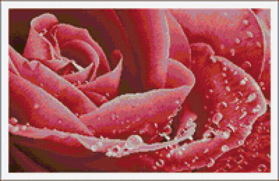 530 - цветы - предпросмотр