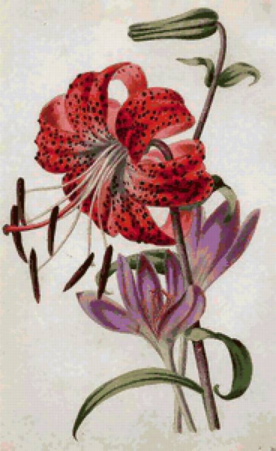 Букетик - цветы - предпросмотр