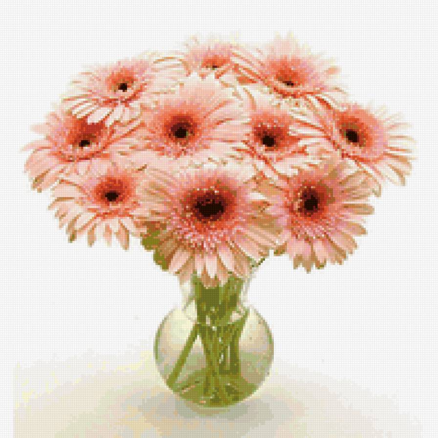 герберы 2 - герберы - предпросмотр