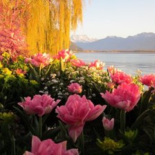 озера швейцарии