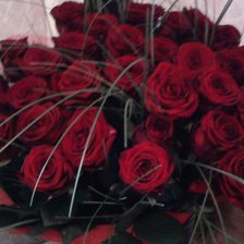 Схема вышивки «№66586»