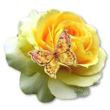 Схема вышивки «Подушка"Цветы"»