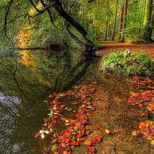 Схема вышивки «пейзаж»