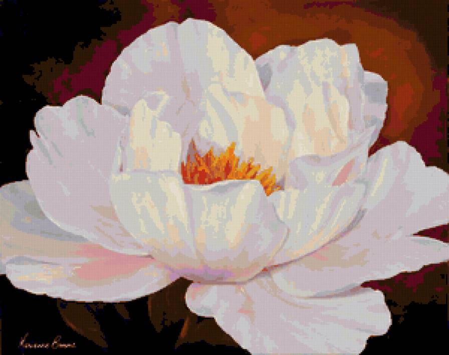 №66690 - цветок, живопись, цветы, пион - предпросмотр