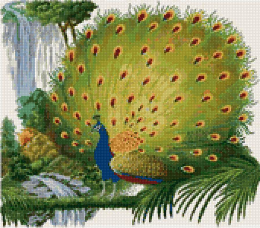 №66733 - предпросмотр