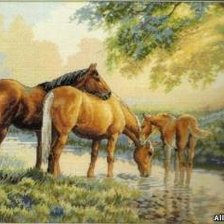 Схема вышивки «№66748»