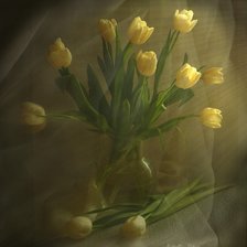 Схема вышивки «под вуалью»