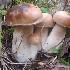 Схема вышивки «Семейка»