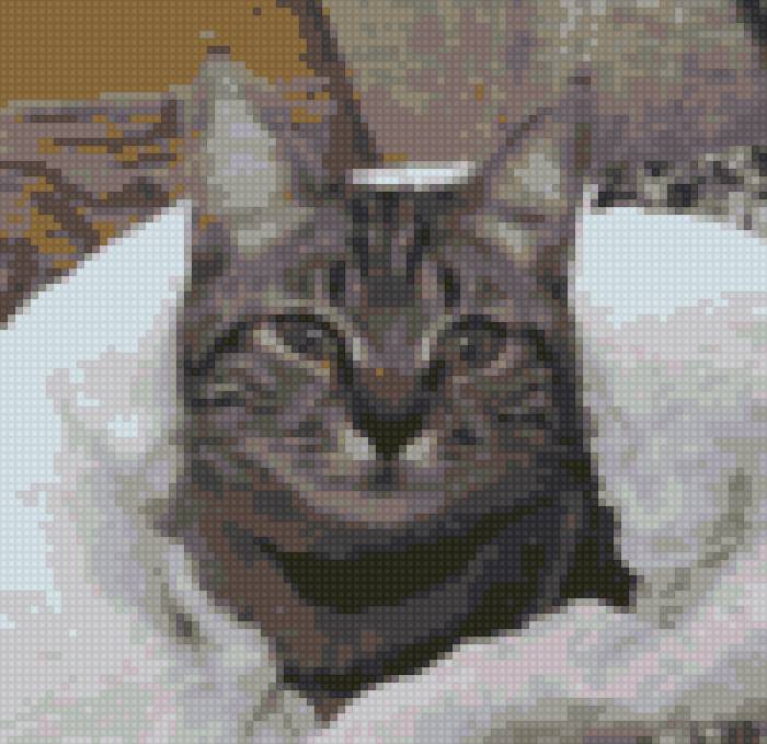 №66804 - предпросмотр