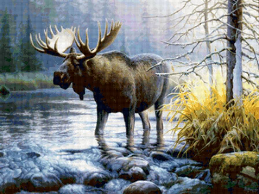 лось - в лесу - предпросмотр