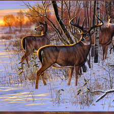 Схема вышивки «На закате»