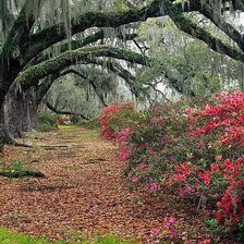 Схема вышивки «№66912»