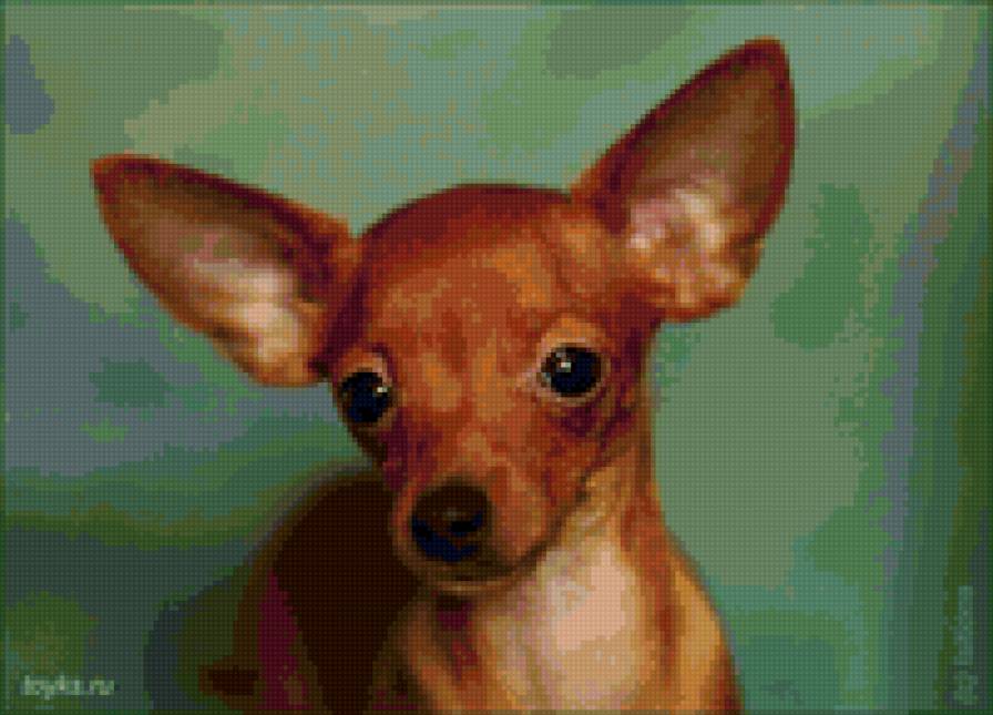 Той - собака - предпросмотр