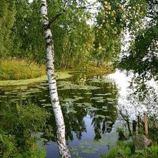 Схема вышивки «Русская природа»