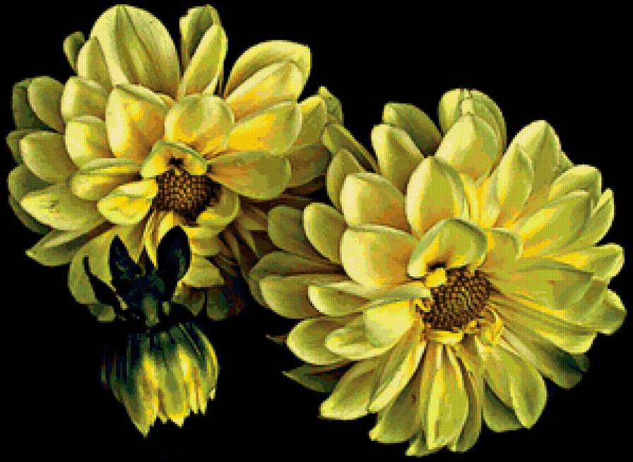 Цветы - цветы - предпросмотр