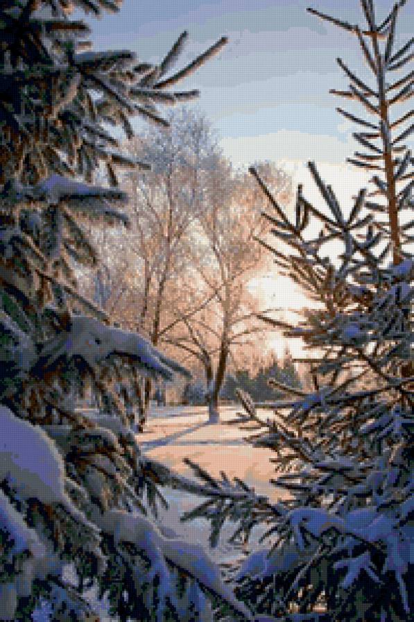 №66974 - зима, лес, пейзаж, природа - предпросмотр