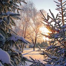 Схема вышивки «№66974»