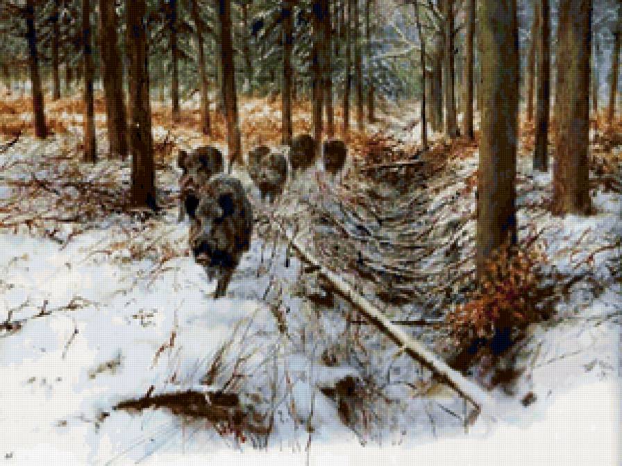 тропа кабанов - в лесу - предпросмотр