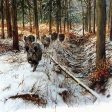 Схема вышивки «тропа кабанов»