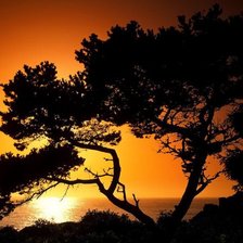 Схема вышивки «zakat»