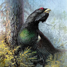 Схема вышивки «№67076»