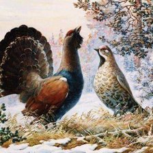 Схема вышивки «Глухарь»