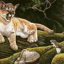 Схема вышивки «котёнок»