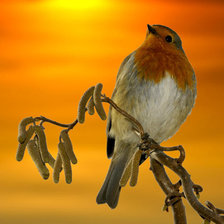 Схема вышивки «серия Птицы»