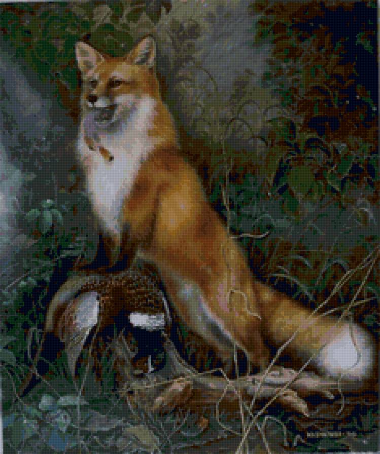 хитрый лис - лиса, животные, в лесу - предпросмотр