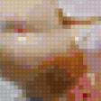 Предпросмотр схемы вышивки «нежнось» (№67348)